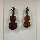 첼로 1:1 맞춤레슨 | 울산피아노레슨 다엘음악학교 맞춤 1:1 레슨 후기