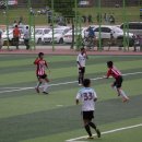 영해생활체육공원 이미지