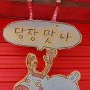 홍대먹고기 네이버블로그