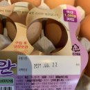 늘찬계란 이미지