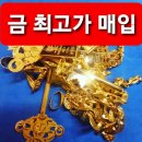 금사랑금거래소 - 익산시 고봉로32길 13-1 | 금사랑금거래소