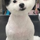 은계동물병원 이미지