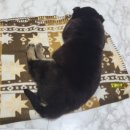 달곰집 이미지