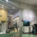 선데이치과의원 이미지