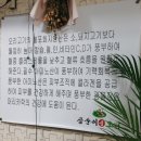 삼순이생오리 이미지