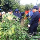 신효동-31 이미지