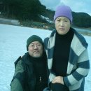 박미경농장 Daum카페