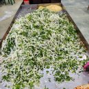 용순농장 이미지