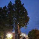 팔팔생고기(영남대점) 이미지