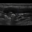 엑슬루 동물병원 이미지