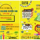 펠릭스컨설팅 Daum카페