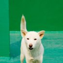 안녕하세요 이미지