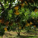 형준농장 이미지