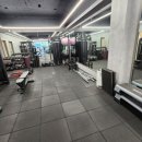 베리 핏 피티 이미지