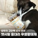 다이아몬드 유통 강아지 사랑 | 펫시밀 용대리 무염 황태채 기호성 좋은 강아지 간식 후기