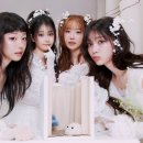 와이스포츠카드