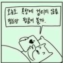 즐거운청소