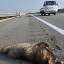 중부-현장-중부-337 이미지