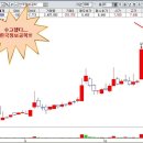 세종 트레이딩 Daum카페