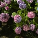 율하천R 이미지