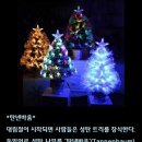 탄넨바움 이미지