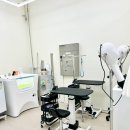 대구오페라 스위첸 아파트 앞 횡단보도 | 모찌 강아지미용: 대구 북구 강아지미용“도근도근”다녀온 후기