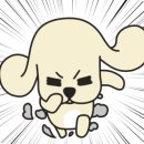 기분좋은 동물병원 이미지