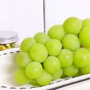 복주농장 이미지