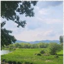 열린행정사 이미지