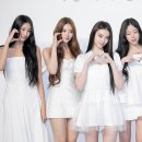 엘라 이미지