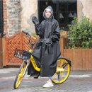 우비(WB) 이미지