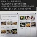 [길 위의 스튜디오] 단짝투어 여행교육(26.06.13)