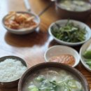 삼천포제일가축병원 | 삼천포 설렁탕 맛집 원조깍두기 삼천포점 l 곰탕, 설렁탕 솔직 후기