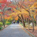 금강공원2 이미지