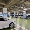 로얄환경 | 하객 로그, 용산 웨딩홀 로얄파크컨벤션 로얄홀 후기 (주차, 뷔페, 홀)