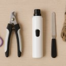 CATS 네일(캣츠네일) | 고양이 발톱깎기 추천 – 안전하고 스트레스 없는 제품 선택 가이드
