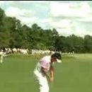 LEE 골프 이미지