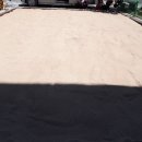 칠곡초교 병설유치원 이미지