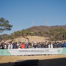 그린라이트