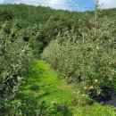 중근농장 이미지