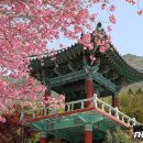 용두어린이공원1 이미지