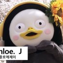 더꽃길참치