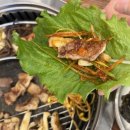[금빛본가] 충주 맛집/충주 삼겹살/충주 고기/한강라면이 있는 곳/충주 시청 맛집