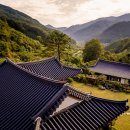 욜로한옥민박 이미지