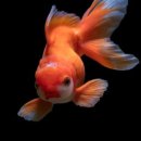 한국폴리텍 VII 대학 울산캠퍼스 이미지