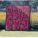 금호강하중도 | 2024대구정원박람회(10월11일~10월15일)금호강하중도