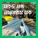 대동목욕탕 | 장소추천 주차장 명당자리 협재야영장 협재맛집 목욕탕 오설록티뮤지엄 올드캡버거 제주도물온도 프리...