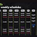 CrossFit 101 이미지