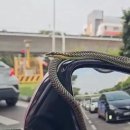 깜찍이네 이미지