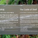 소라성 이미지
